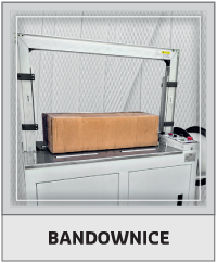 Bandownice